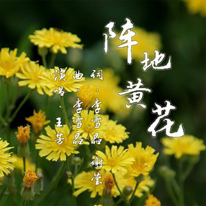 阵地黄花