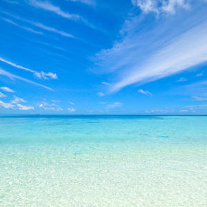 Beachy Times (maxon Remix)