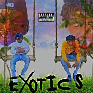 Exotics (feat. Liljayfrmbg) (Explicit)