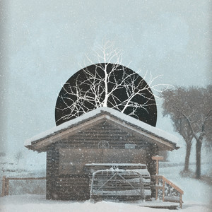Home for the Holidays