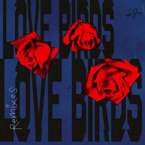 Love Birds (Blookah Remix)