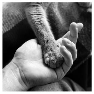 The moon says good night