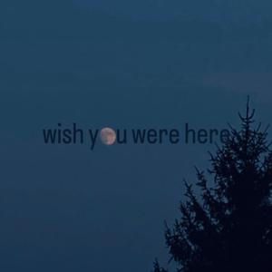 Wish You Were Here