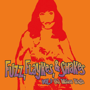 Fuzz, Flaykes & Shakes, vol. 1