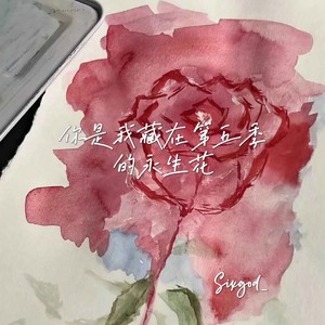 你是我藏在第五季的永生花