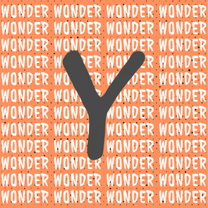 Wonder Y