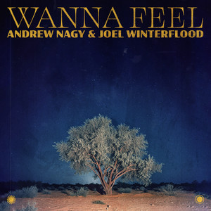 Wanna Feel