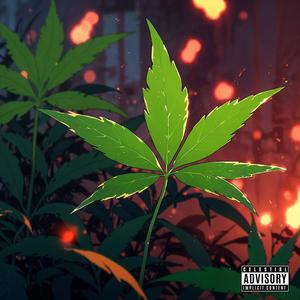 Release (Peace of Mine)