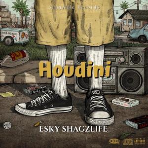 Houdini (Explicit)