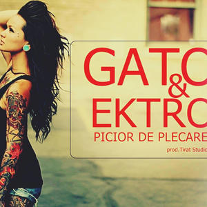 PICIOR DE PLECARE (feat. Ektro)