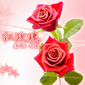 红玫瑰 (DJ版)