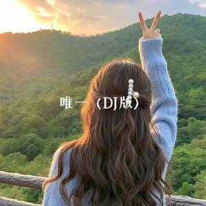 唯一 (DJ版)