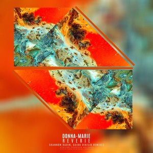 Reverie (Shannon Davin Remix)