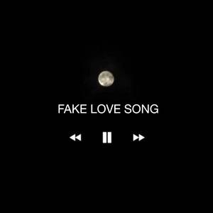 FAKE LOVE SONG