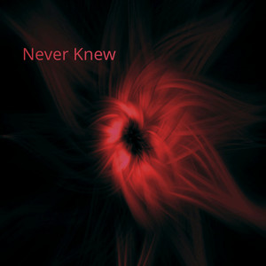 Never Knew (Explicit)