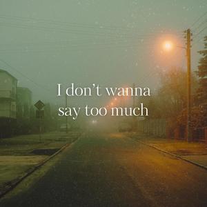 I don't wanna say too much (Explicit)