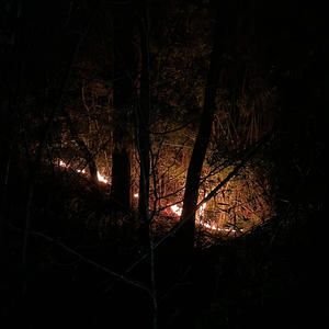 can't be scared 4ever