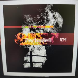 Pochodeň (feat. Ryini Beats) (Explicit)