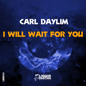 I Will Wait For You (Original Mix)