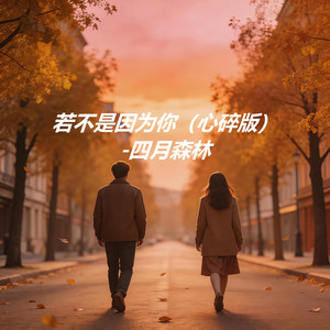 若不是因为你 (心碎版)