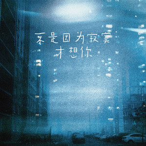 不是因为寂寞才想你 (只是因为想你才寂寞)