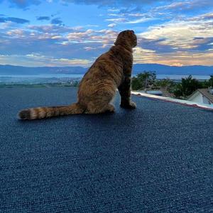 从不想被遗忘292