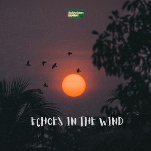 Echoes in the Wind