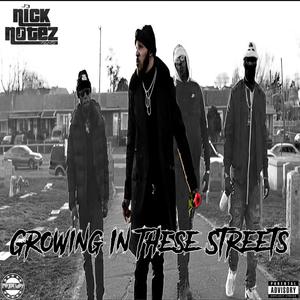 Growing In These Streets (Explicit)