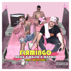 Flamingo (Explicit)