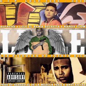 Los Bichotes de Puerto Rico(feat. Lele El Arma Secreta & Nandy Flow) (Explicit)