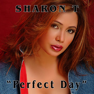 Perfect Day (Original Radio Mix)