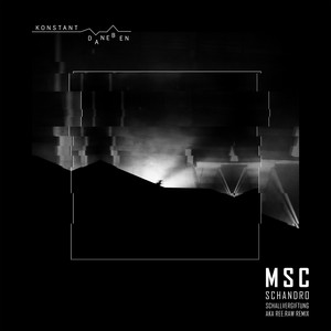 MSC (Schallvergiftung remix)