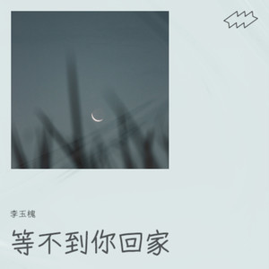 等不回的归期 (Demo)封面