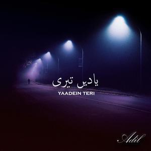 Yaadein Teri