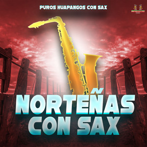 Puros Huapangos Con Sax