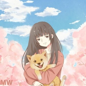 光源-2018HB to 王博文