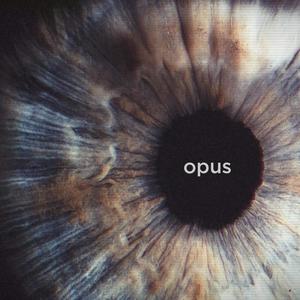 Opus(feat. Daniel Adair)