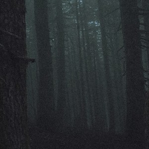 SATIVA DREAMS // BLEEDING TREES (feat. KIRA) (Explicit)