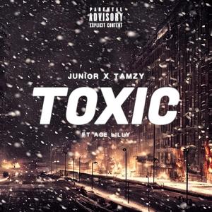 Toxic (feat. Ace Lilly) [Explicit]