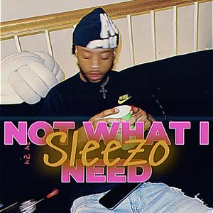 Not what I need (Explicit)