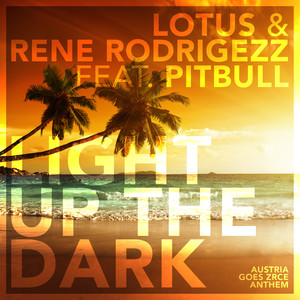 Light Up The Dark (feat. Pitbull) (Radio Edit)