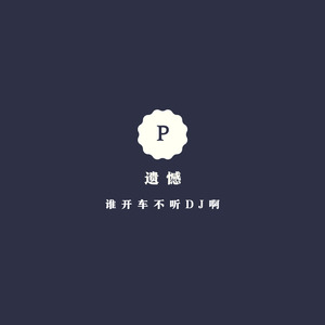 谁开车不听DJ啊 (DJ版)