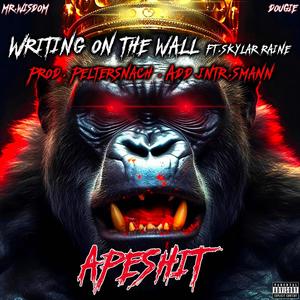 Writing On The Wall (feat. Mr. Wisdom & Skylar Raine) (Explicit)