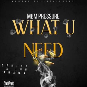 WHAT U NEED (feat. OFBTYG & LUH SHAWN) [Explicit]