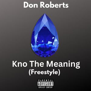 Kno the Meaning (Freestyle) (Explicit)