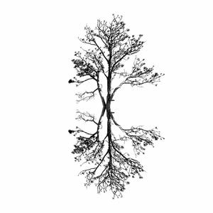 Viajero (feat. Ricardo Bendek)