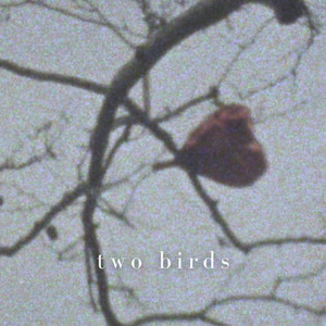 Two Birds