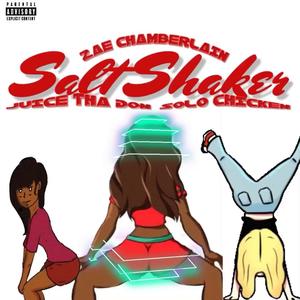 Salt Shaker (feat. Zaechamberlain) [Explicit]