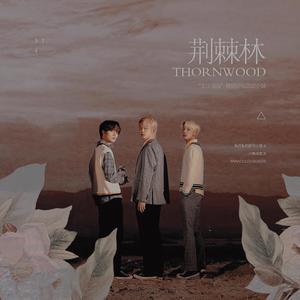 《荆棘林》OST