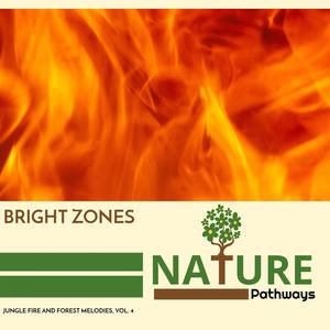 Bright Zones - Jungle Fire and Forest Melodies, Vol. 4